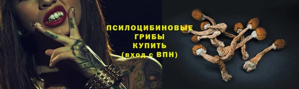 дурь Надым