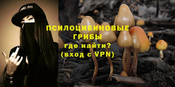 дмт Навашино