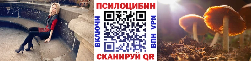 Галлюциногенные грибы Magic Shrooms  Купить где  Змеиногорск 